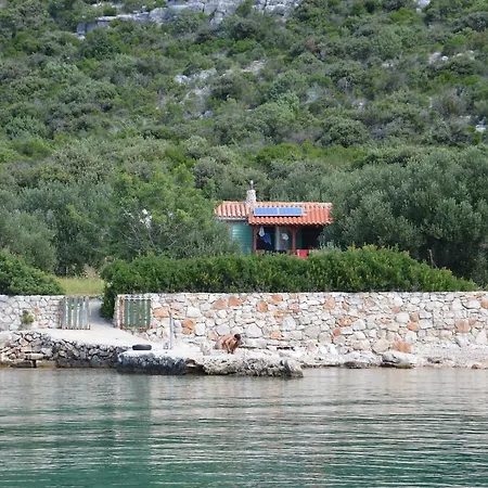 Comfy In With Terrace Pašman